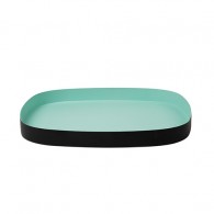 tray-mint.wm