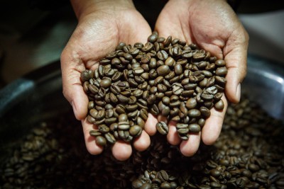 Freshly roasted coffee beans.